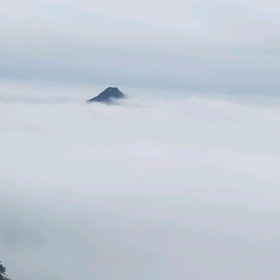 胜哥ɑː