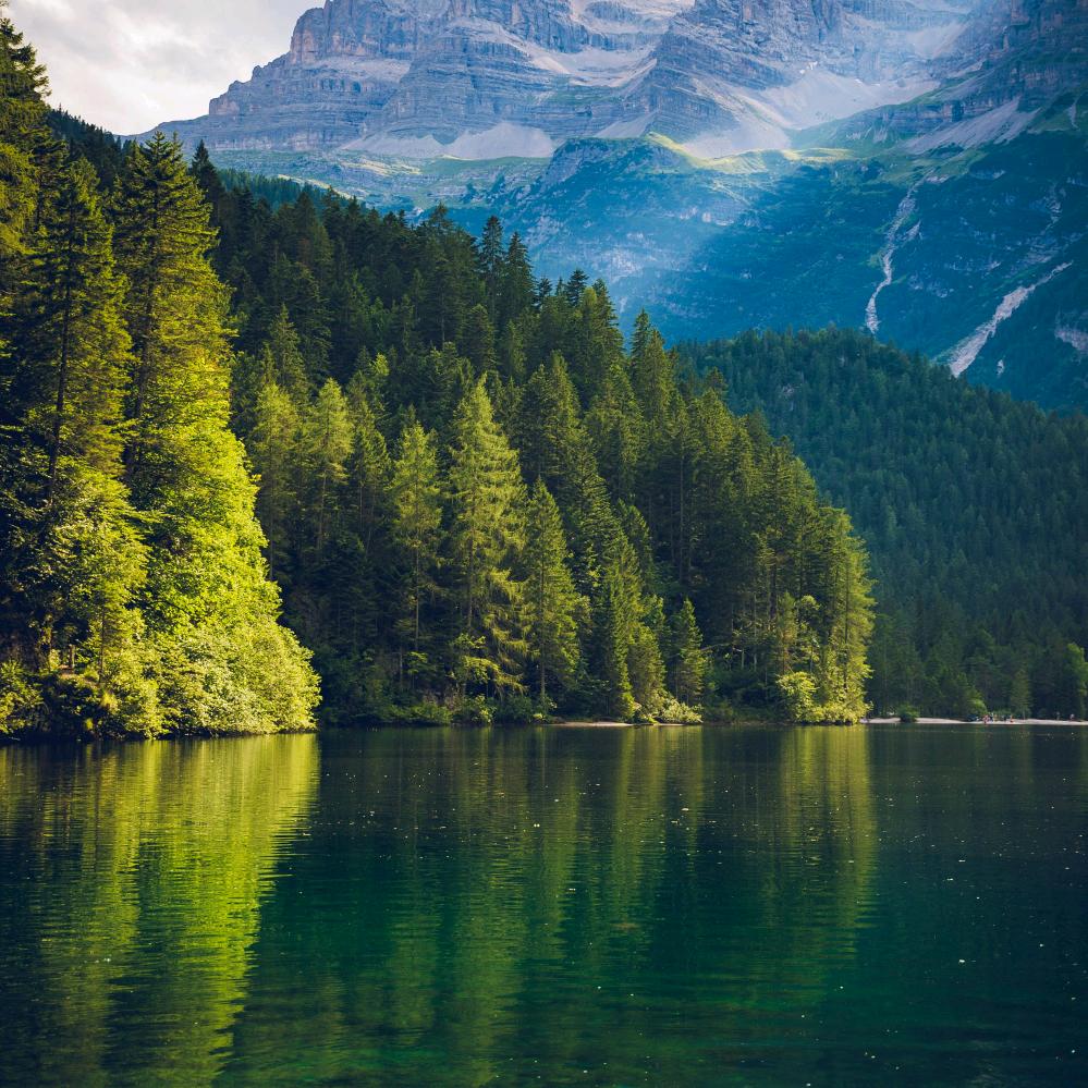 （封心¥锁爱）