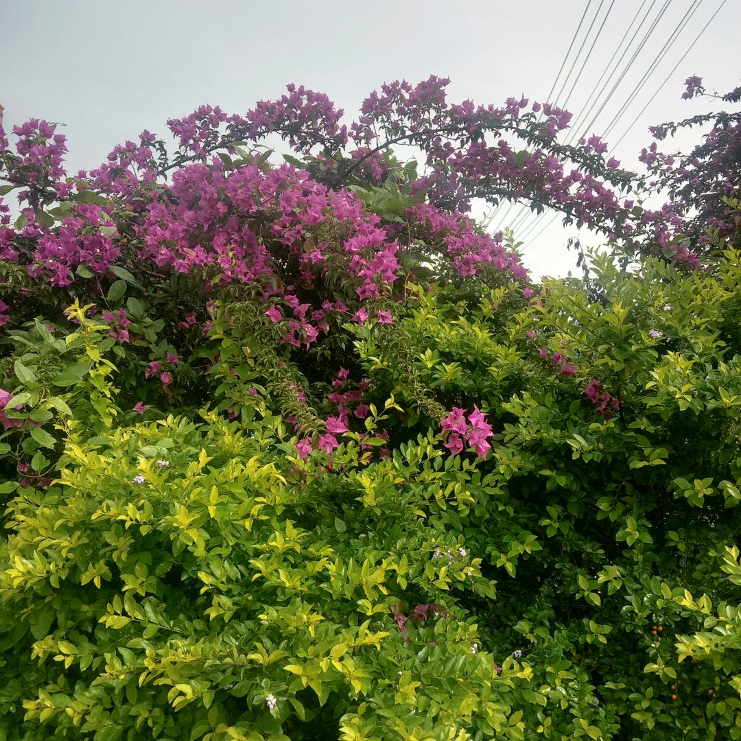 天道酬勤幸福人