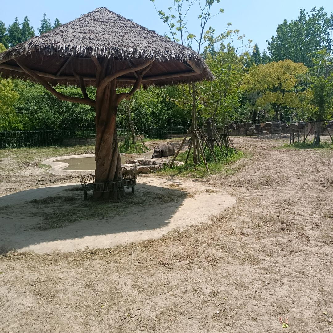倪行龙