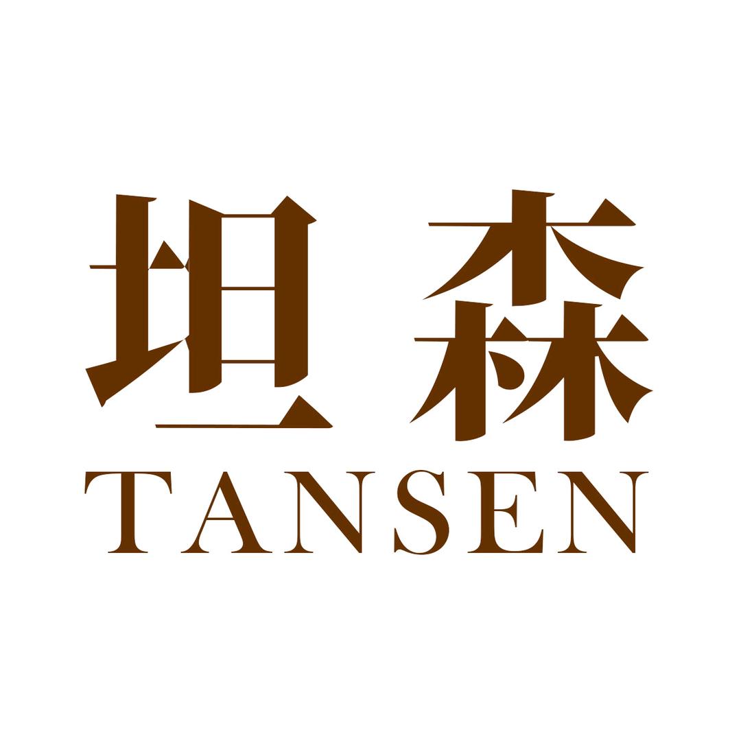 坦森鞋业工厂店