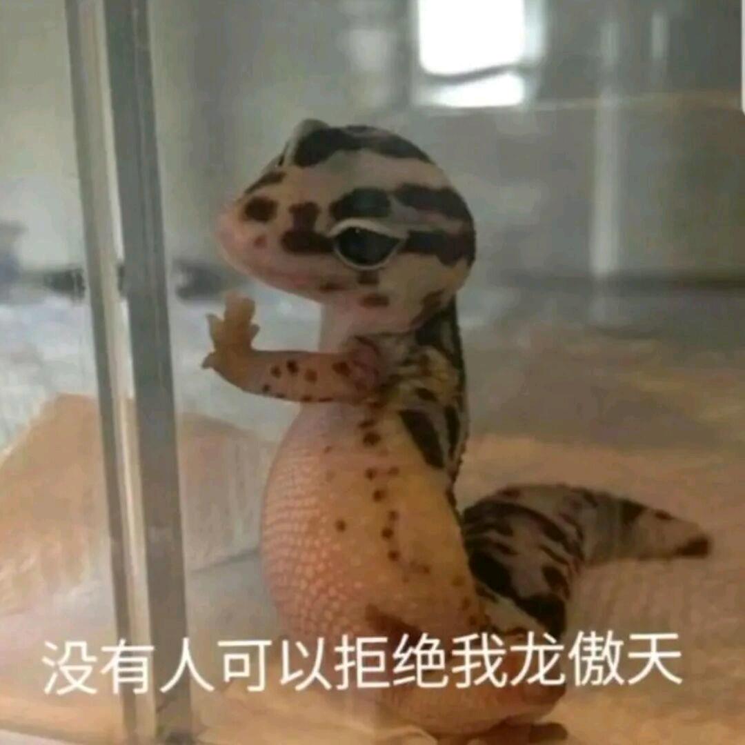 天上地下至尊无上大法龙傲天