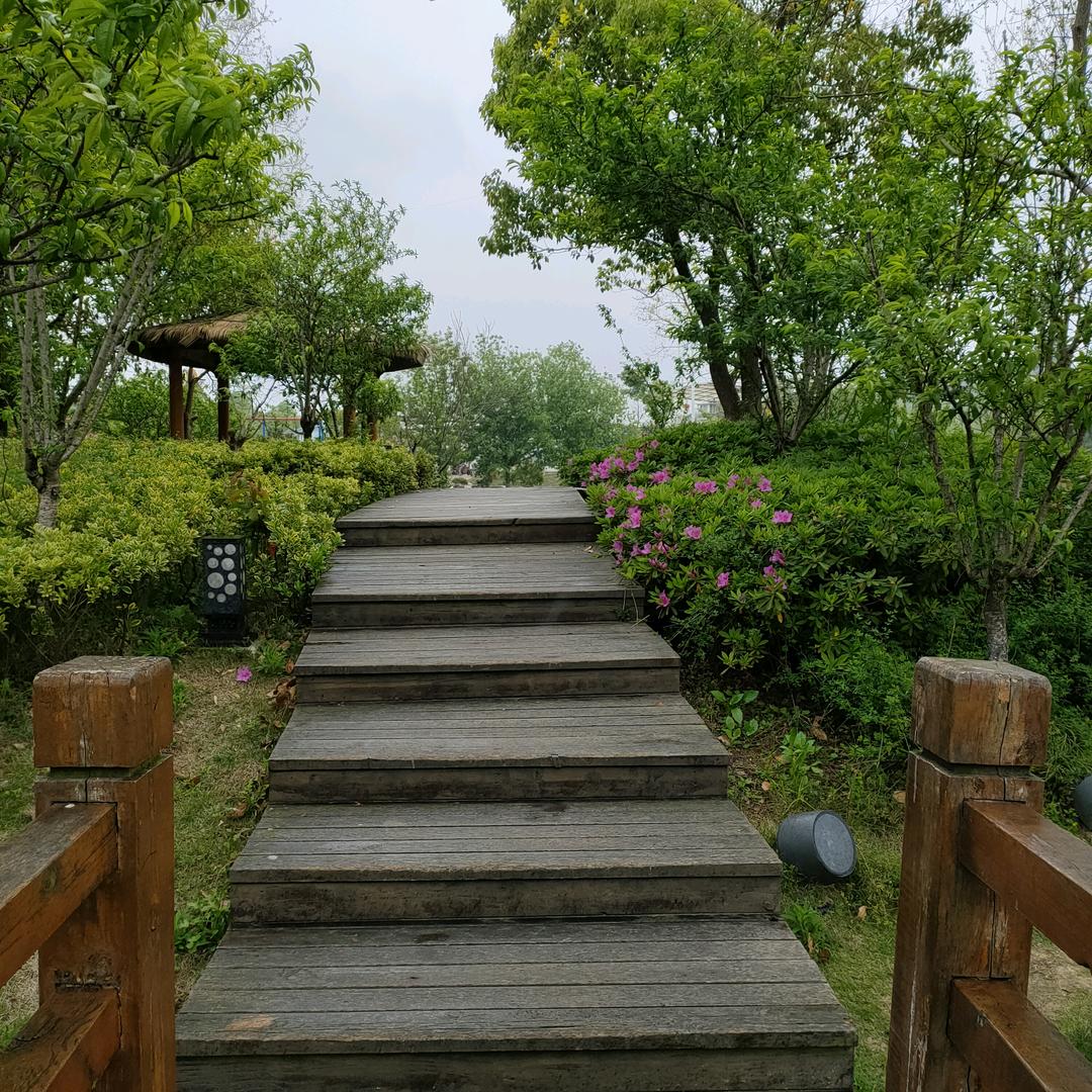 悠悠岁月