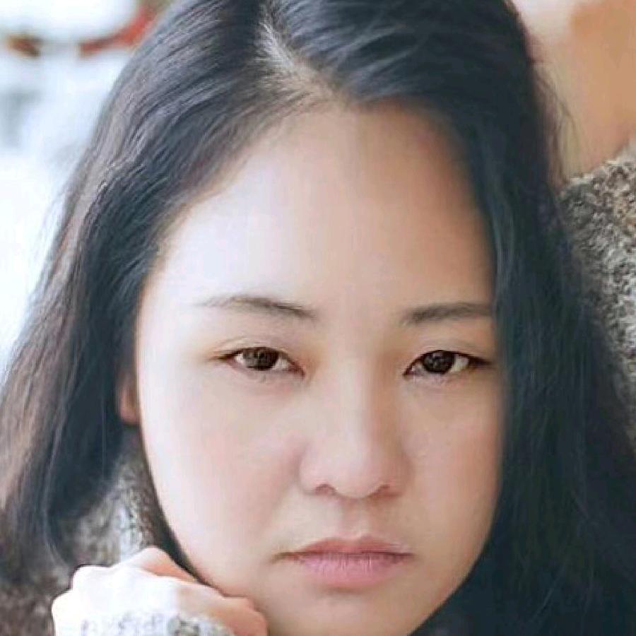 梦蝶
