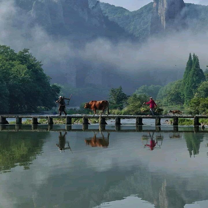 洼里春色