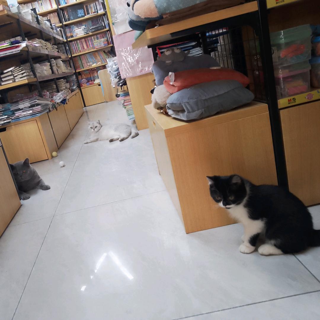 李可乐