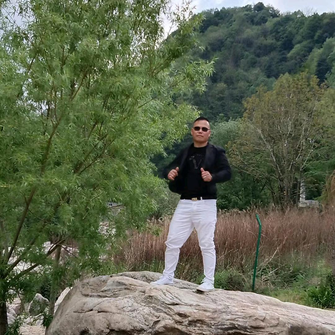 北侠（关中石雕）