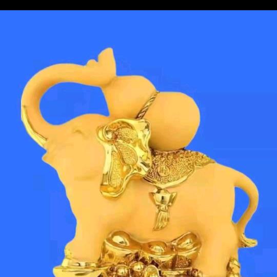 财神爷的小宝贝