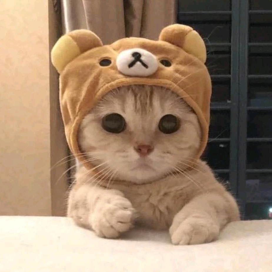 出门看月亮🌙
