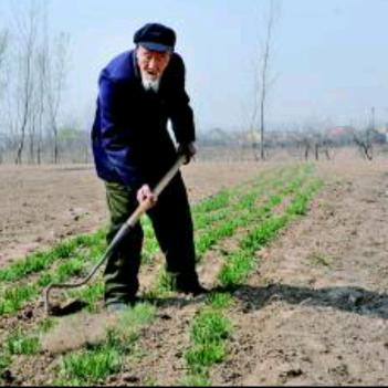 老农民农具推荐