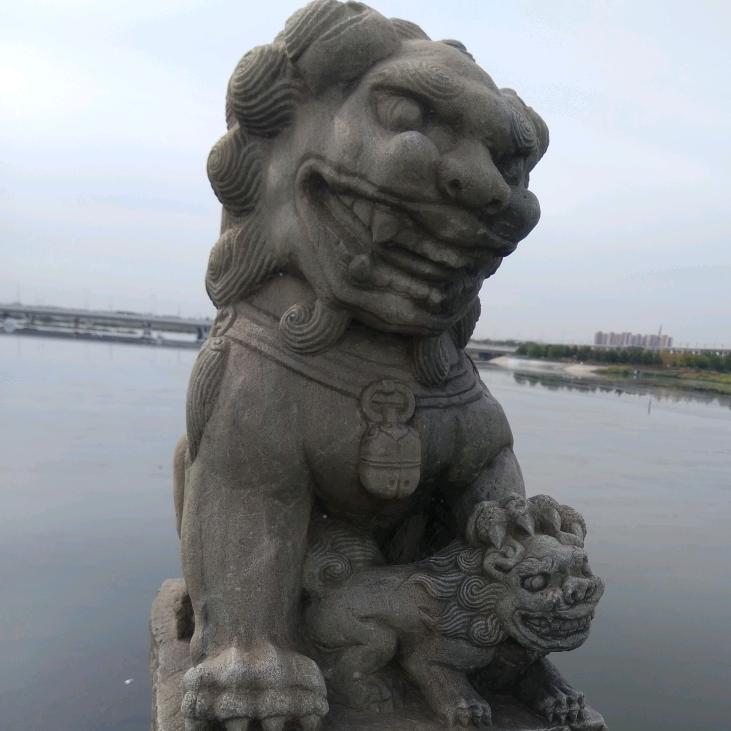 根哥
