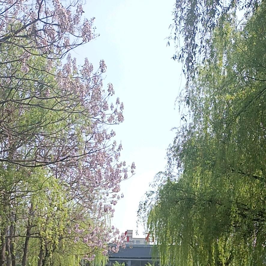 天赋吉运
