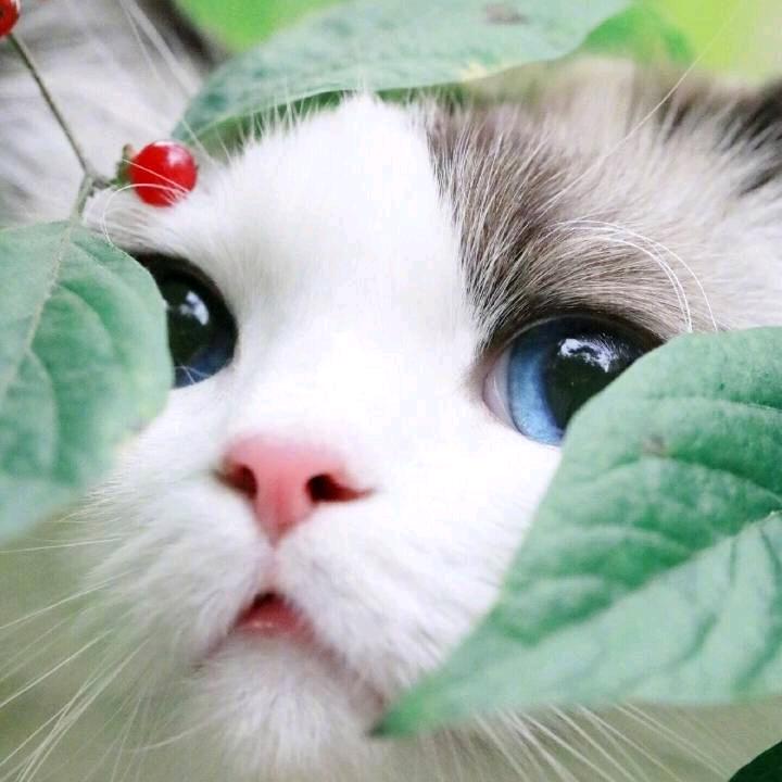尹容