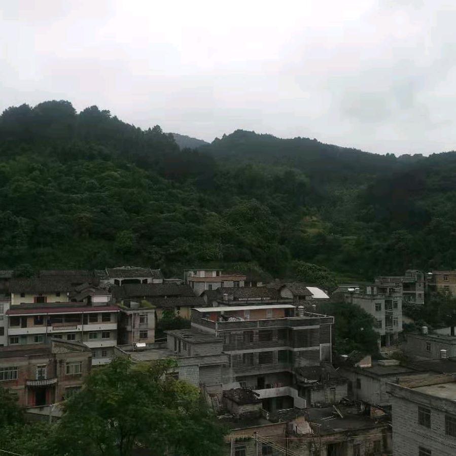 🥀再道一句晚安🥀