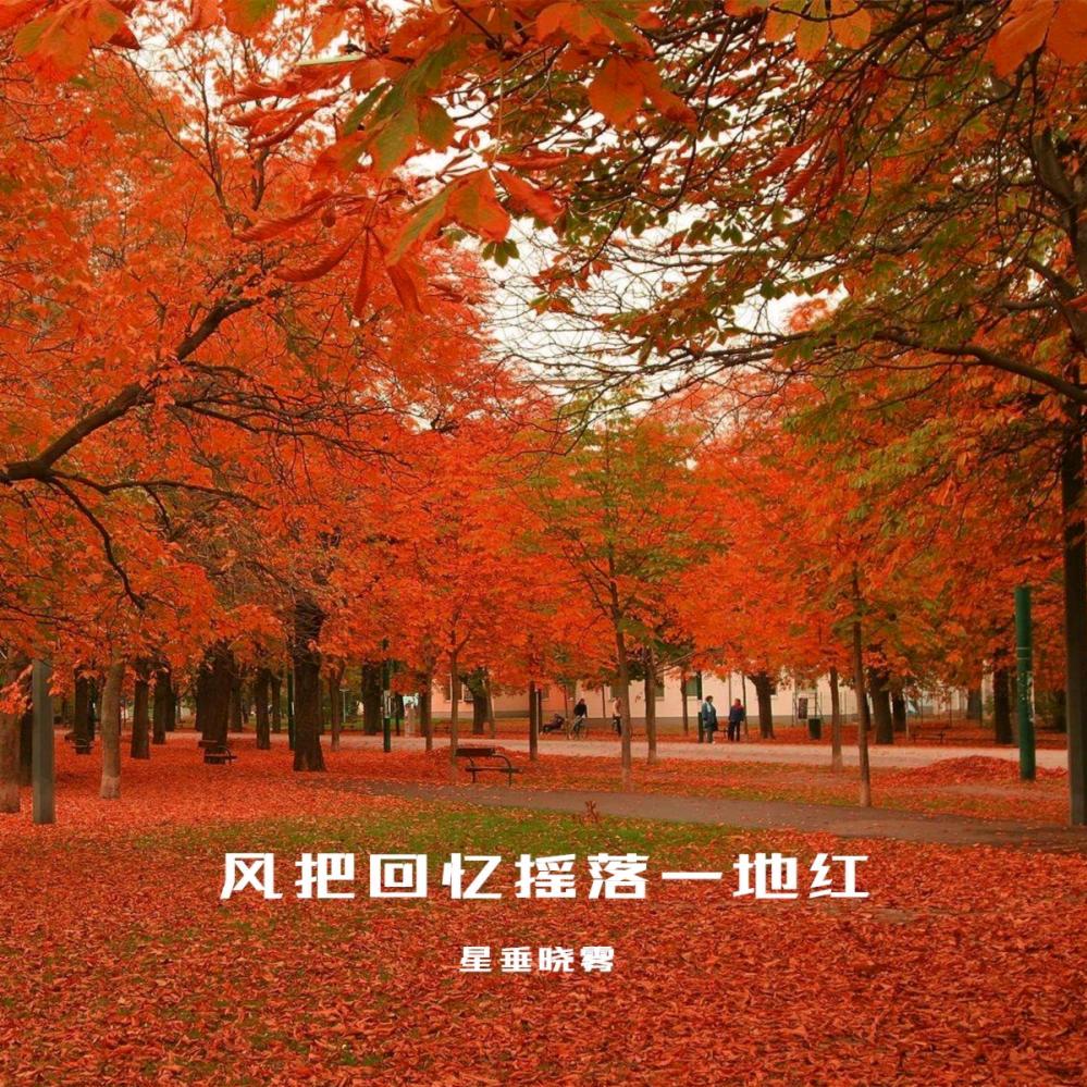 ꧁꫞꯭鱼的眼泪꫞꧂