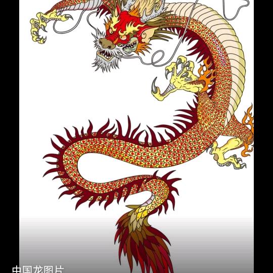 龙游天下