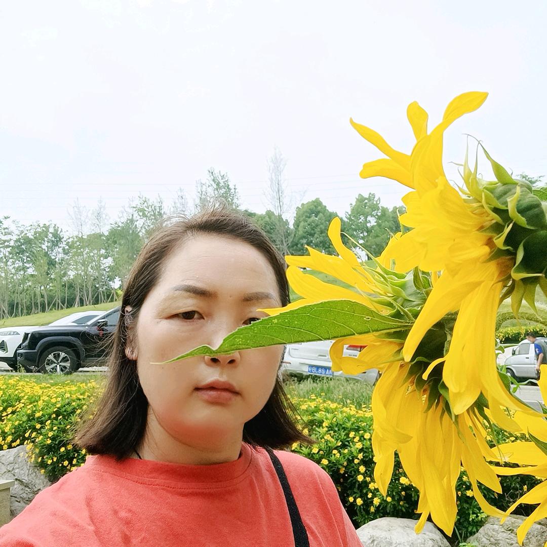 苏舒