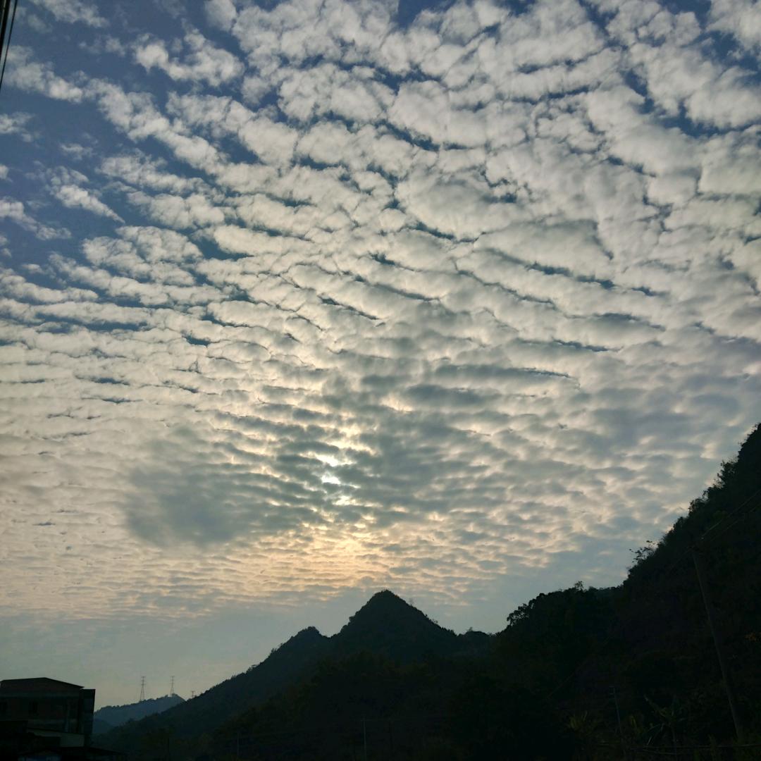 林8特