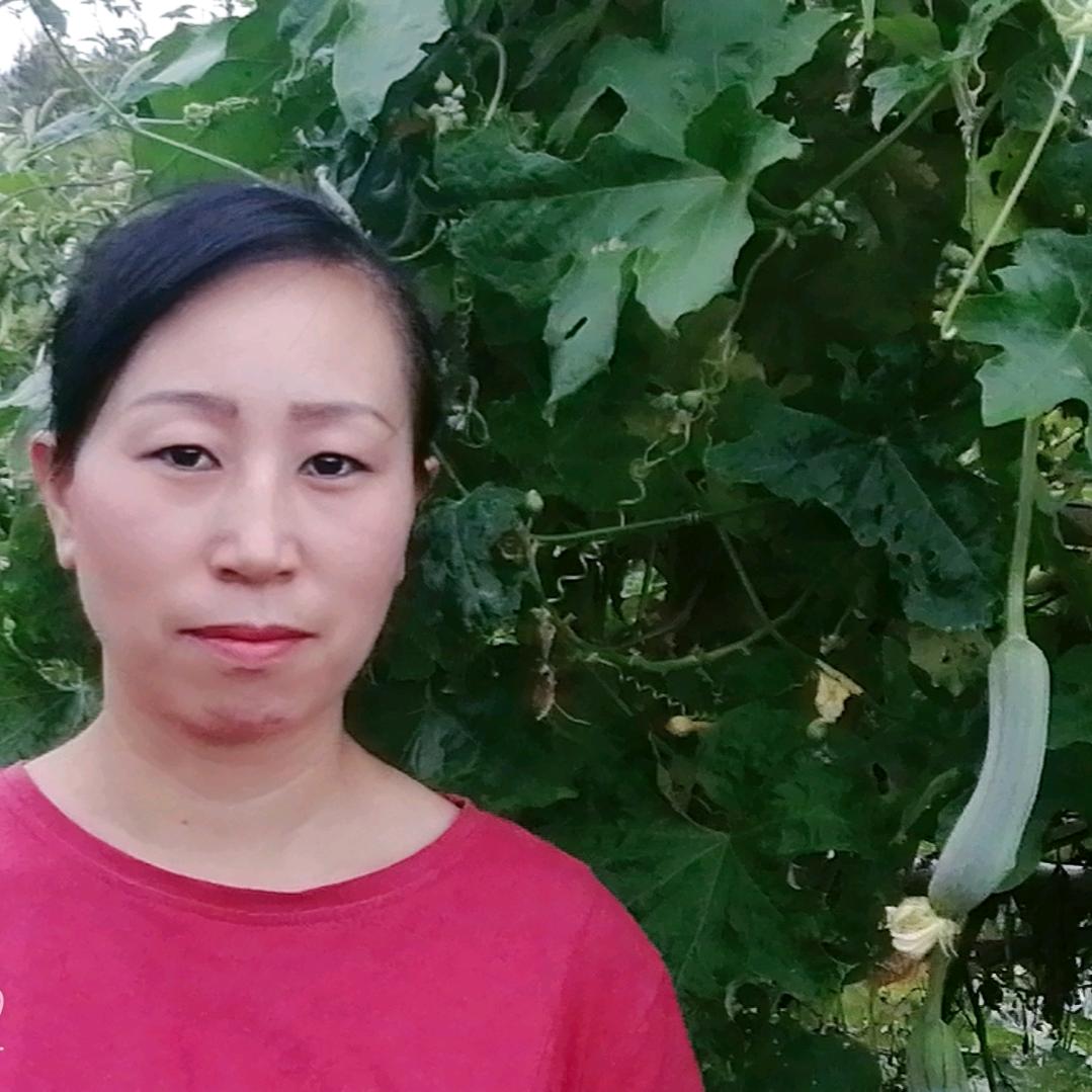 小燕子姐，（早上8:10）