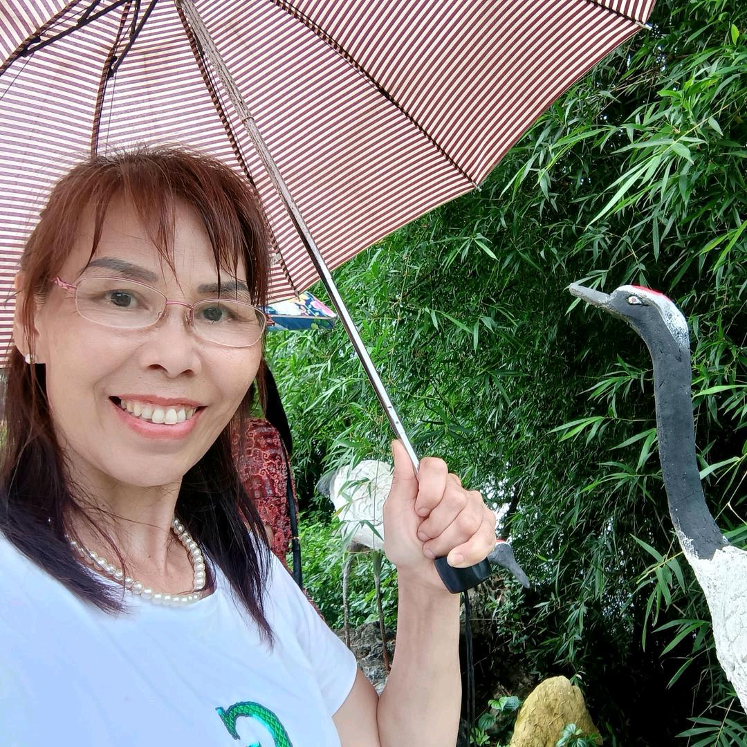 🌹花木兰🌹不定时开播。