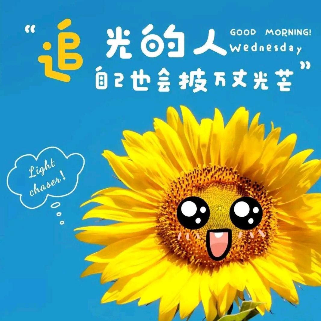 静待花开🌸