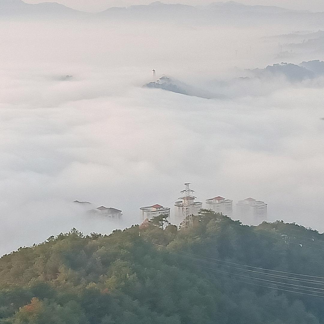 紫剑情怀
