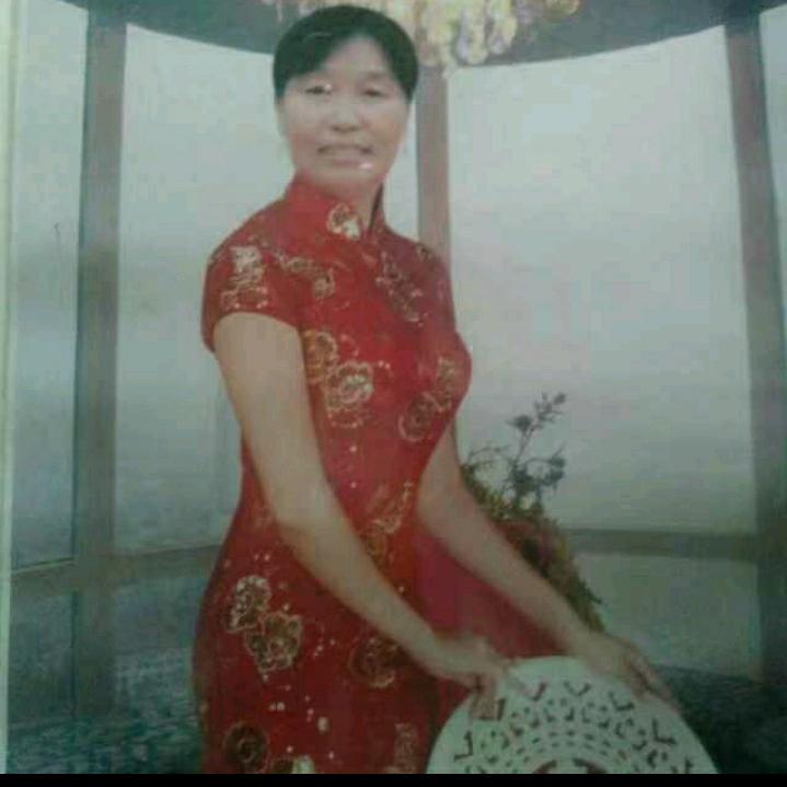 梦想纷飞