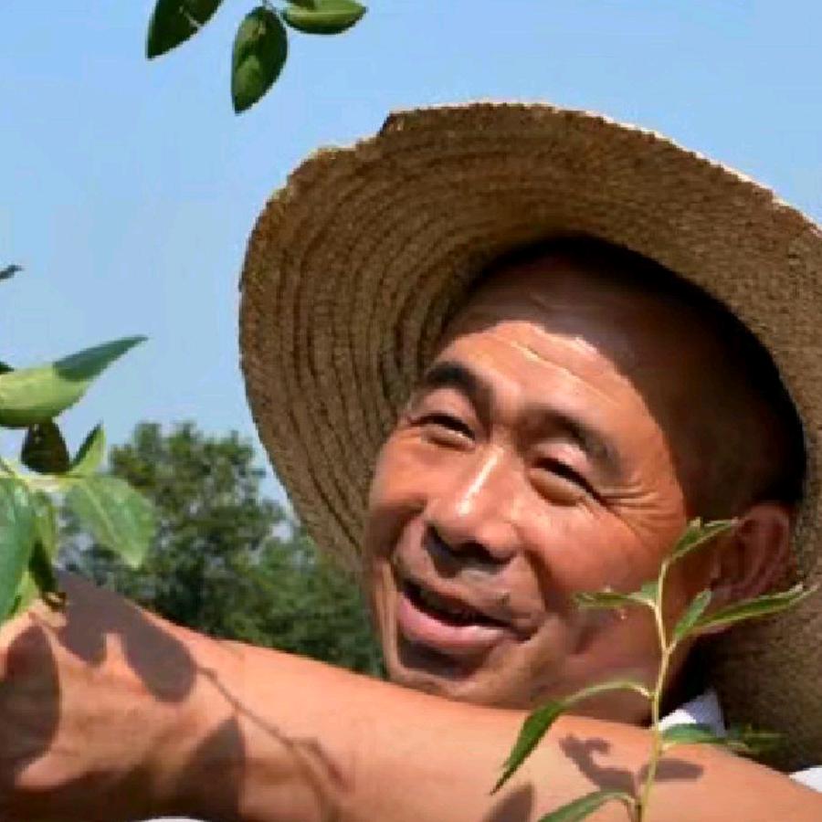 德阳市罗江区大霍山枣子专业合作社