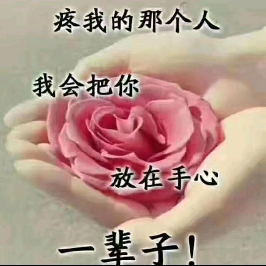 🌷 🌷