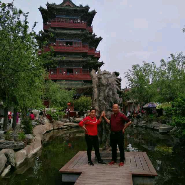 杨总