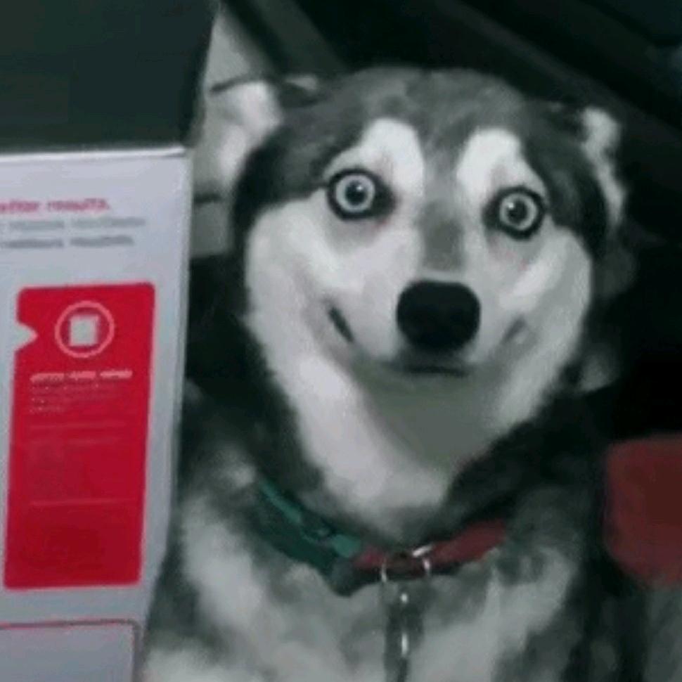 玛卡巴卡🇨🇳