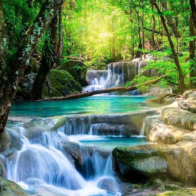 🌿3969🌿