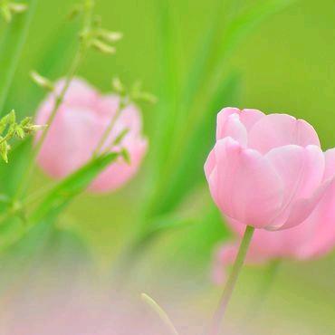 开心(✪▽✪)快乐⊙▽⊙