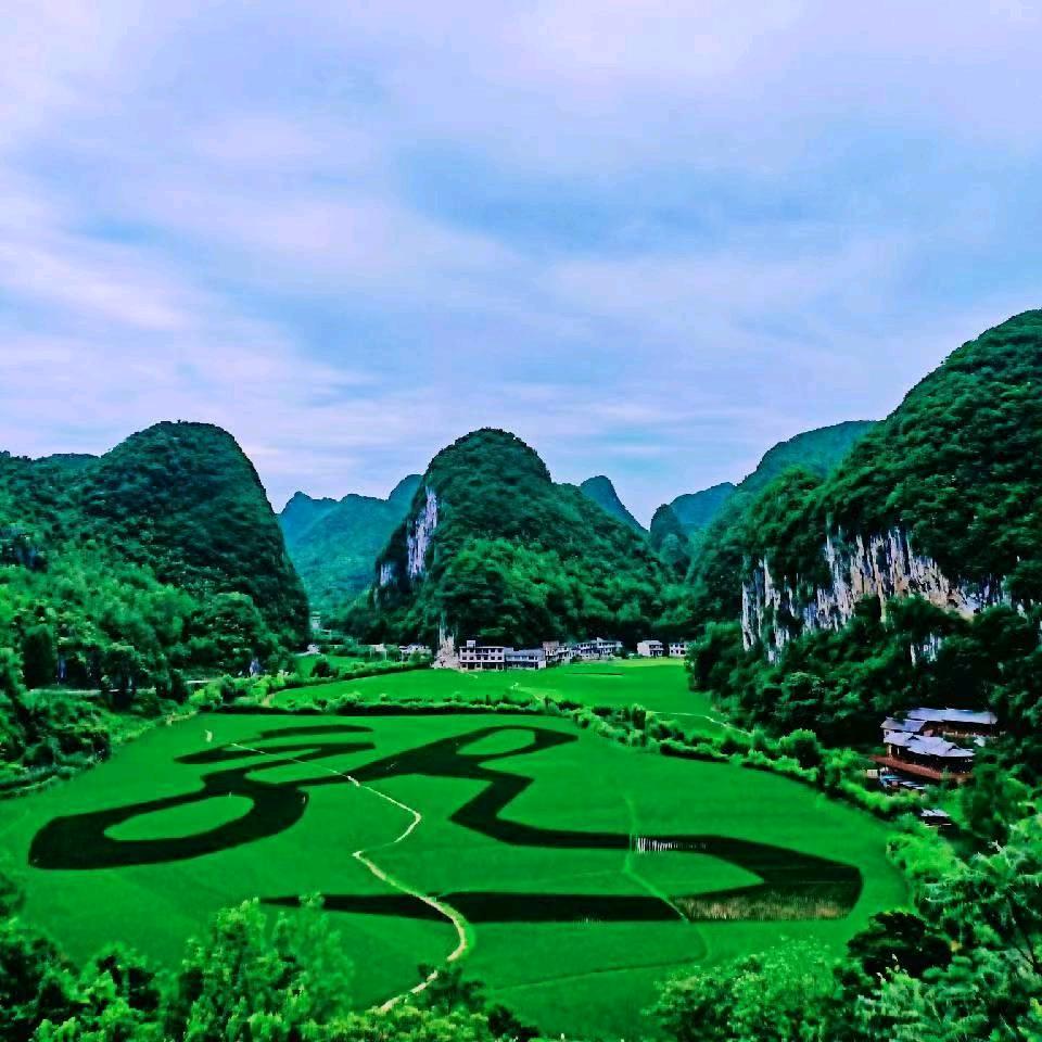 缘分让我认识你
