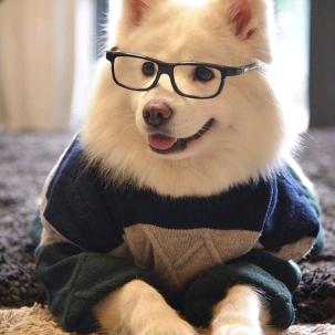 ꫛ꯭ོ陌້ᮨ໌꯭꯭꯭殇꯭ꦿ