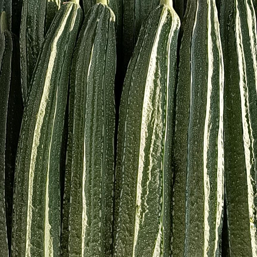 细水长流（蔬菜代办）