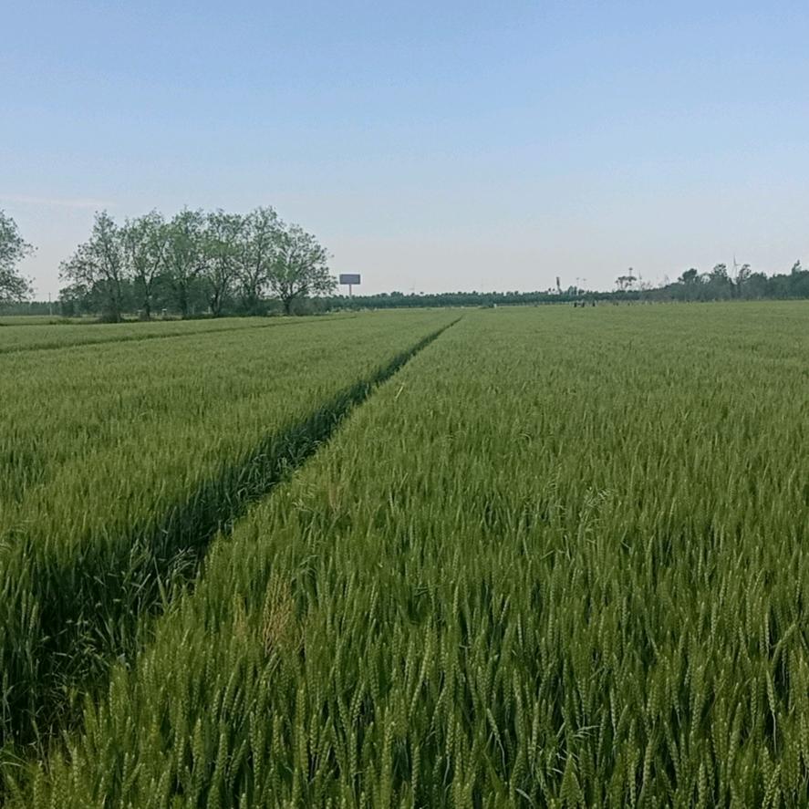 金穗丰家庭农场