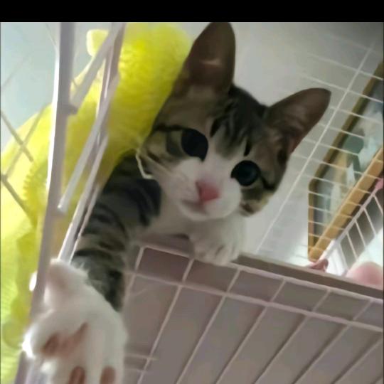 今天省钱了吗