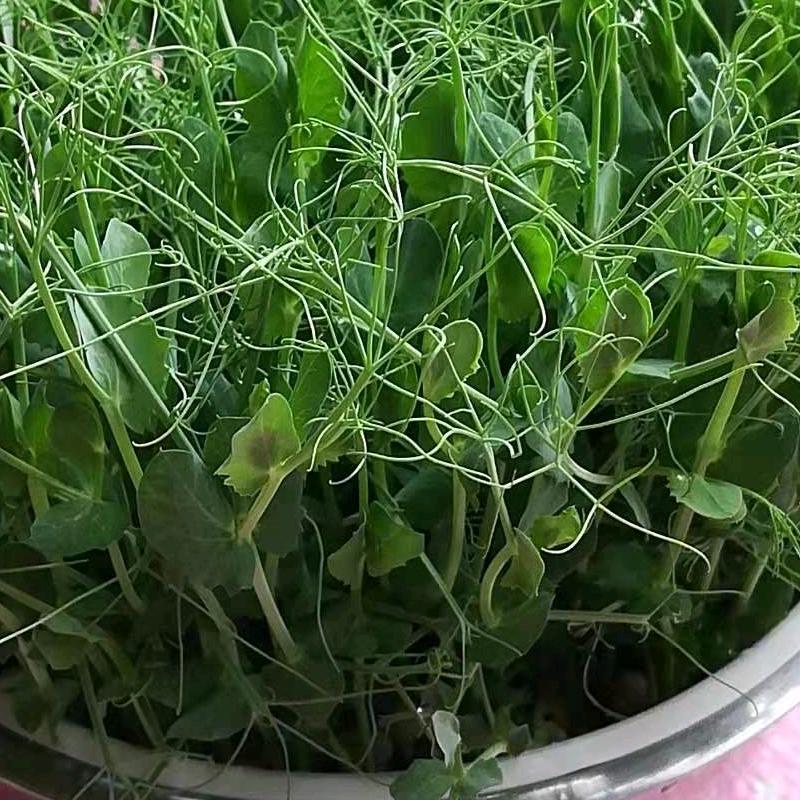 小雨点