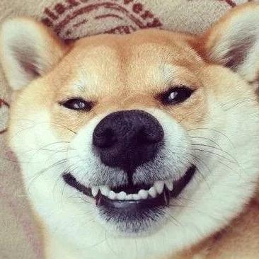 哇金色传说