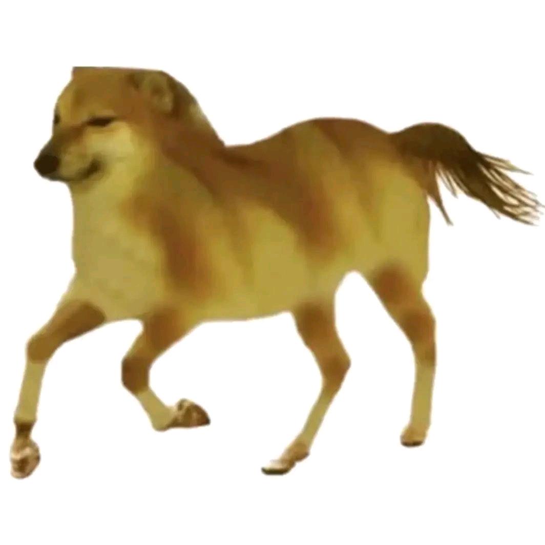 爱上猹的钢叉
