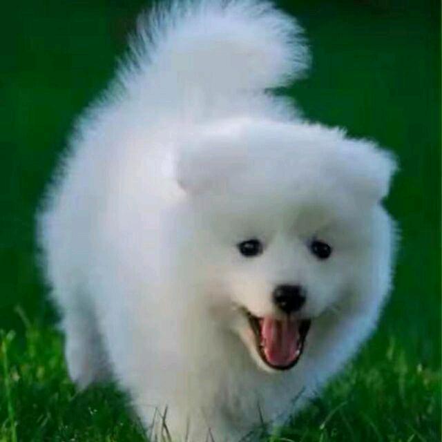 汶💦心