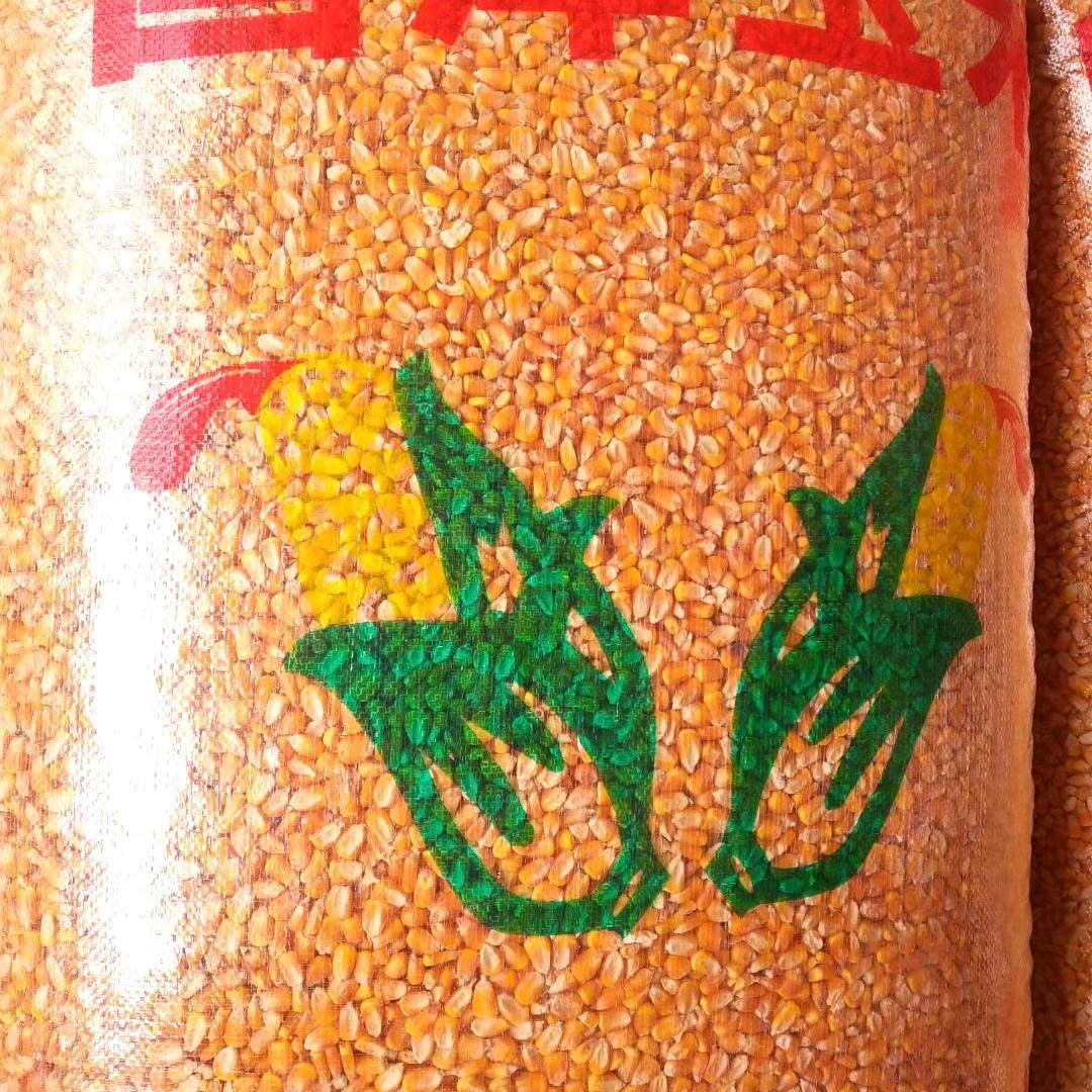 陕西井方色选玉米