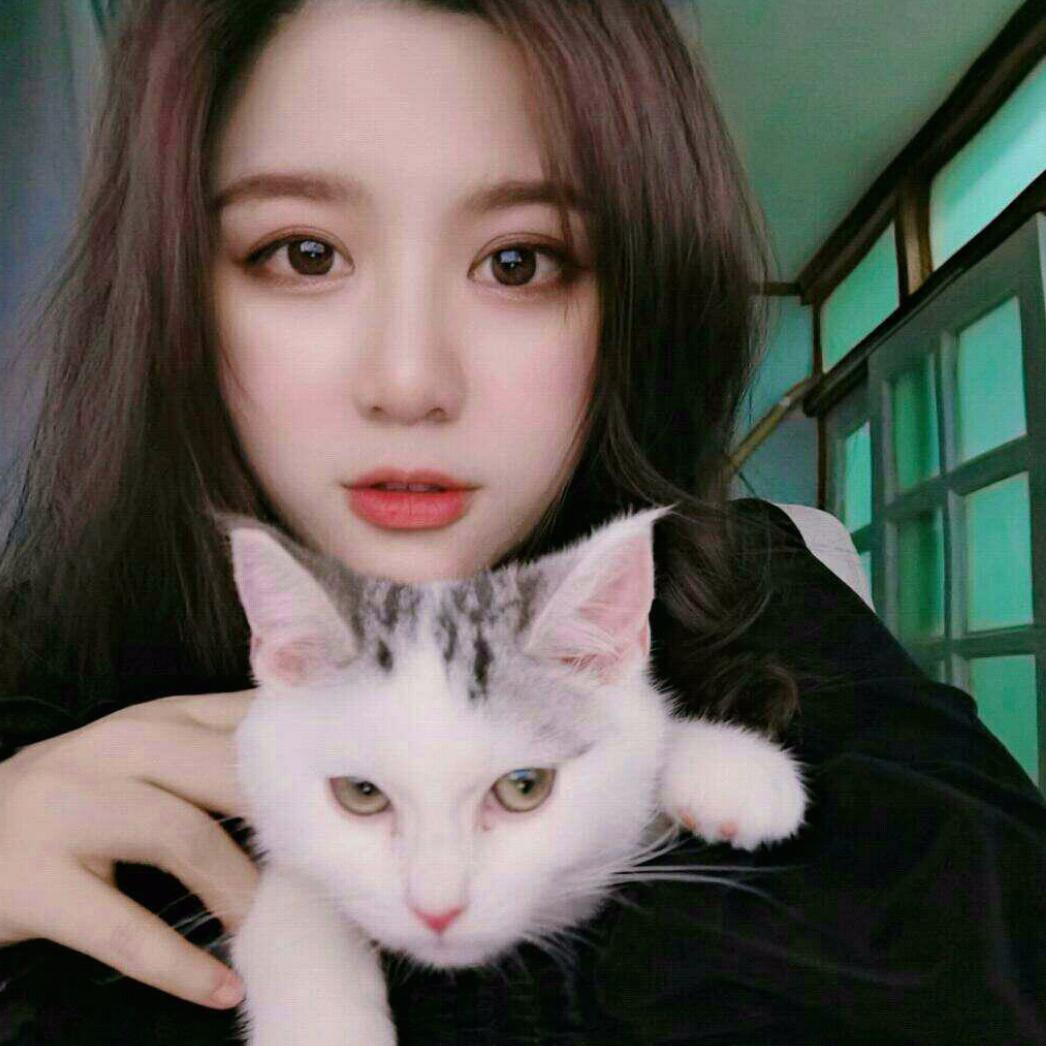 陈阿姨家的猫
