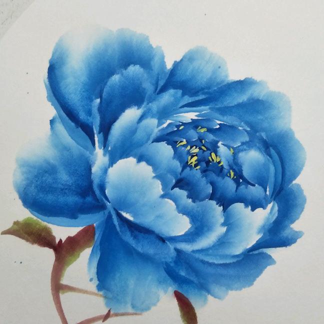 小天牡丹