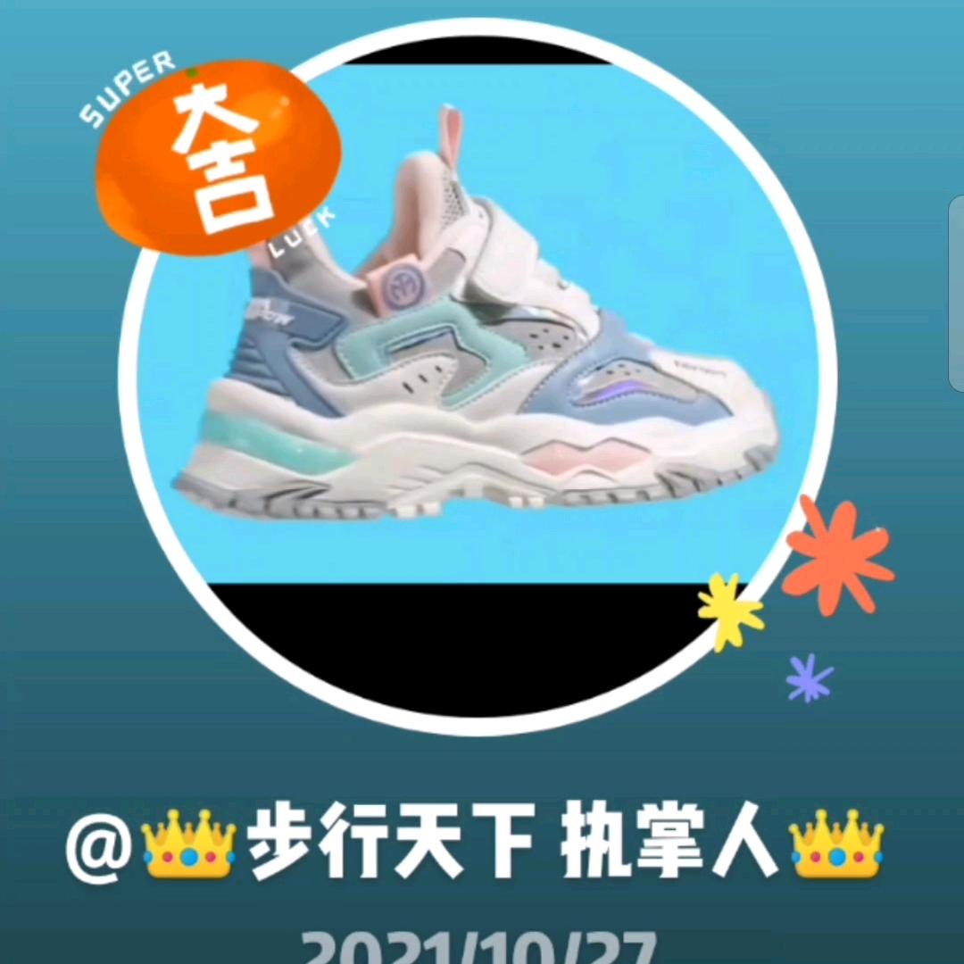 👑步行天下 执掌人👑