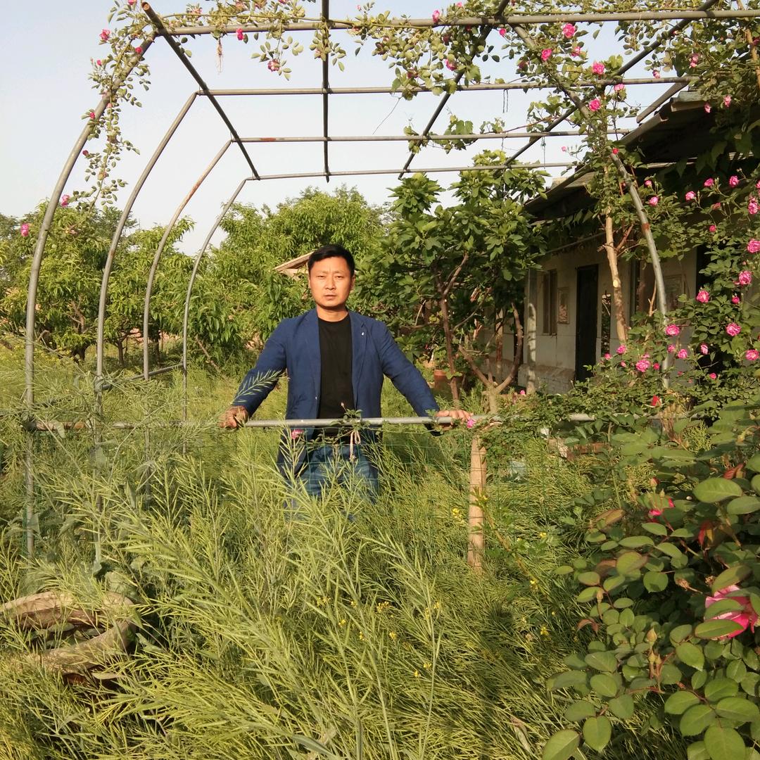 君捷农院（洛阳）