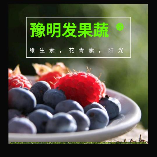 固县沙窝萝卜（桐柏县钰明家庭农场）