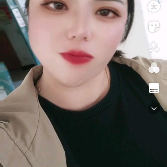 凤凤