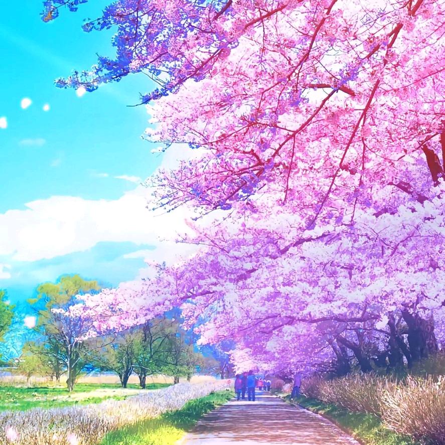 开心过好每一天🎶